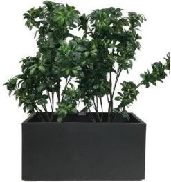 Elho Vivo Matt Finish Lang Wielen 90 - Grote Staande Plantenbak Voor Binnen & Buiten - Gemaakt Van Gereycled Plastic - L 39 X W 88 X H 41 Cm - Zwart 14 Elho Vivo Matt Finish Lang Wielen 90 - Grote Staande Plantenbak Voor Binnen & Buiten - Gemaakt Van Gereycled Plastic - L 39 X W 88 X H 41 Cm - Zwart -Gardena Winkel 1124x1200 5