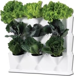 Minigarden Vertical Verticale Tuin - Wit 11 Minigarden Vertical Verticale Tuin - Wit -Gardena Winkel 1157x1200 1