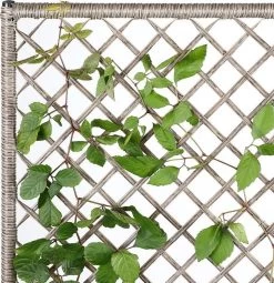 Casaria Polyrattan Bloembak – 3 Bakken Klimophek - Crème -Gardena Winkel 1163x1200 3