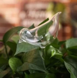 Waterdruppelaar Planten - Vorm Vogel - Set Van 3 Kunststof Druppelaars - 25cm Lengte - Genoeg Water Tijdens Je Vakantie -Gardena Winkel 1190x1200 3