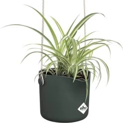 Elho B.for Swing 18 Hangpot - Bloempot Voor Binnen - Ø 18.0 X H 16.5 Cm - Groen/Blad Groen -Gardena Winkel 1193x1200 7