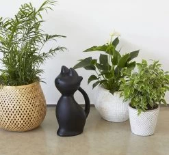 Balvi Meow! Kat Gieter - Zwart -Gardena Winkel 1200x1103 3