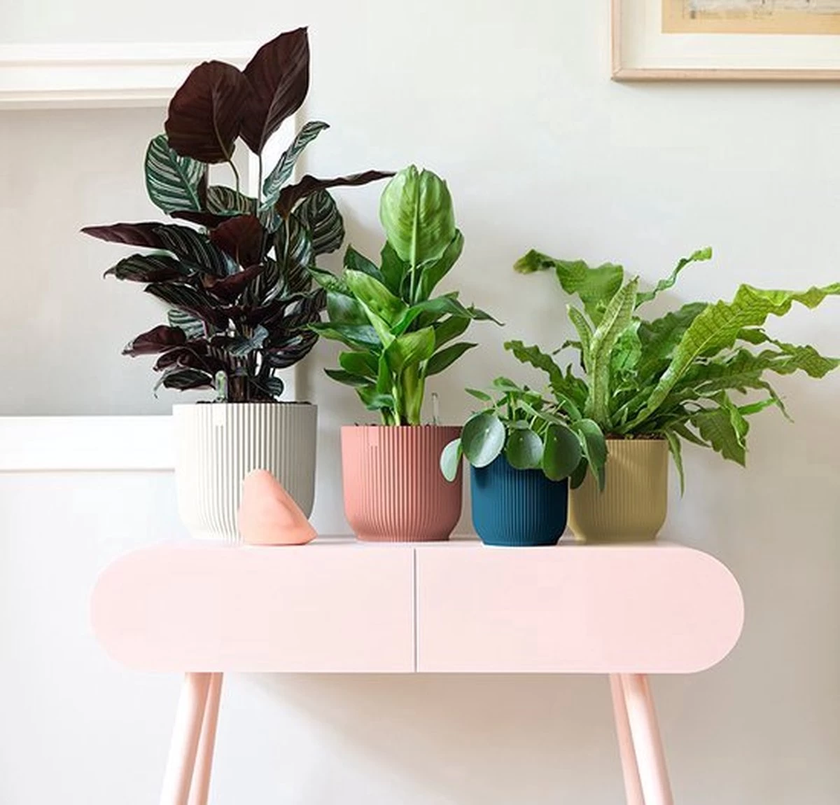 Elho Vibes Fold Rond 25 - Bloempot Voor Binnen - Ø 25.0 X H 23.0 Cm - Delicaat Roze 6 Elho Vibes Fold Rond 25 - Bloempot Voor Binnen - Ø 25.0 X H 23.0 Cm - Delicaat Roze - Afbeelding 6