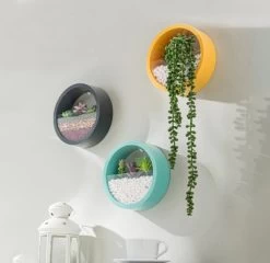 Ronde Muur Plantenbak Zwart - Decoratie - Planten - Interieur - Bloemen - Woondecoratie - Muurbekleding - -Gardena Winkel 1200x1167 4