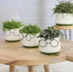 2x Bloempot Met Gezicht - Ø8 X H6,5 Cm - Bloempotten Voor Binnen Met Bril/Face/Hoofd 9 2x Bloempot Met Gezicht - Ø8 X H6,5 Cm - Bloempotten Voor Binnen Met Bril/Face/Hoofd -Gardena Winkel 1200x1178 2