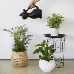 Balvi Meow! Kat Gieter - Zwart -Gardena Winkel 1200x1200 1089