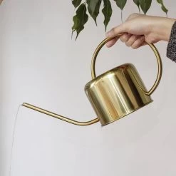 Kikkerland Vintage Gieter - Plantengieter Voor Binnen - Goud - 1,2L - Retro - Metaal 9 Kikkerland Vintage Gieter - Plantengieter Voor Binnen - Goud - 1,2L - Retro - Metaal -Gardena Winkel 1200x1200 1098
