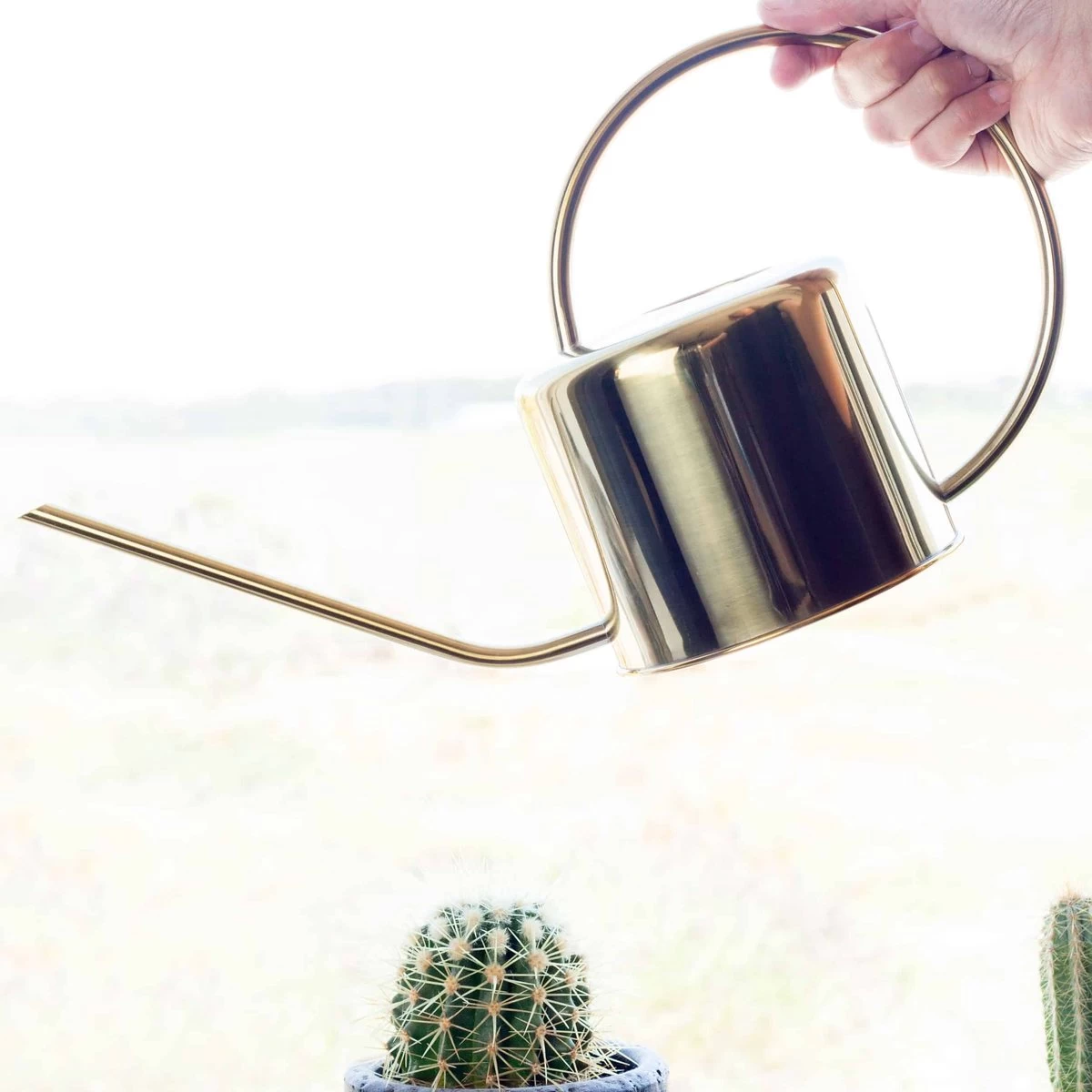 Kikkerland Vintage Gieter - Plantengieter Voor Binnen - Goud - 1,2L - Retro - Metaal 5 Kikkerland Vintage Gieter - Plantengieter Voor Binnen - Goud - 1,2L - Retro - Metaal - Afbeelding 5