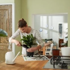 Elho Self-watering Insert 33 - Accessoires Voor Binnenaccessoires - Ø 33.3 X H 30.7 Cm - Zwart/Living Black -Gardena Winkel 1200x1200 1143