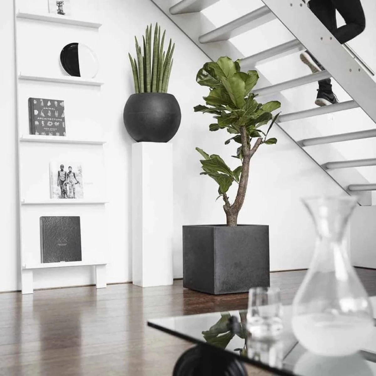 Capi Europe - Bloempot Vierkant Smooth NL - 50x50x50 - Zwart - Voor Binnen En Buiten - KBL904 20 Capi Europe - Bloempot Vierkant Smooth NL - 50x50x50 - Zwart - Voor Binnen En Buiten - KBL904 - Afbeelding 20