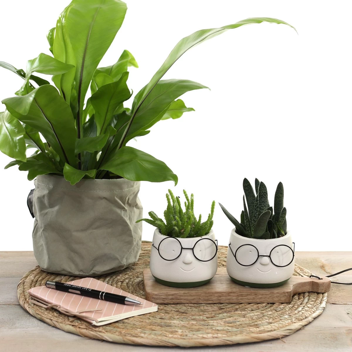 2x Bloempot Met Gezicht - Ø8 X H6,5 Cm - Bloempotten Voor Binnen Met Bril/Face/Hoofd 4 2x Bloempot Met Gezicht - Ø8 X H6,5 Cm - Bloempotten Voor Binnen Met Bril/Face/Hoofd - Afbeelding 4