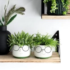 2x Bloempot Met Gezicht - Ø8 X H6,5 Cm - Bloempotten Voor Binnen Met Bril/Face/Hoofd 13 2x Bloempot Met Gezicht - Ø8 X H6,5 Cm - Bloempotten Voor Binnen Met Bril/Face/Hoofd -Gardena Winkel 1200x1200 1185