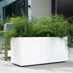 Elho Vivo Matt Finish Lang Wielen 90 - Grote Staande Plantenbak Voor Binnen & Buiten - Gemaakt Van Gereycled Plastic - L 39 X W 88 X H 41 Cm - Wit 16 Elho Vivo Matt Finish Lang Wielen 90 - Grote Staande Plantenbak Voor Binnen & Buiten - Gemaakt Van Gereycled Plastic - L 39 X W 88 X H 41 Cm - Wit -Gardena Winkel 1200x1200 1203