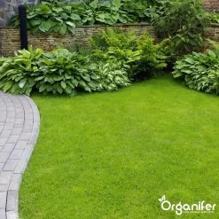 Koemestkorrels 3in1 (20Kg Voor 200m2) Allround Organische Meststof - Direct Opneembare Voeding - Langdurige Werking > 120 Dagen - Geurloos - Verbeterd Bodem - Lavameel Toevoeging - Versterkt Gras En Planten - Organifer -Gardena Winkel 1200x1200 1221