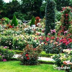 Koemestkorrels 3in1 (20Kg Voor 200m2) Allround Organische Meststof - Direct Opneembare Voeding - Langdurige Werking > 120 Dagen - Geurloos - Verbeterd Bodem - Lavameel Toevoeging - Versterkt Gras En Planten - Organifer -Gardena Winkel 1200x1200 1224