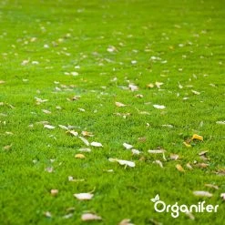 IJzersulfaat Meststof – Mos Verwijderaar – 5kg -Voor 250m2 (organifer) -Gardena Winkel 1200x1200 1235