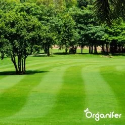 IJzersulfaat Meststof – Mos Verwijderaar – 5kg -Voor 250m2 (organifer) -Gardena Winkel 1200x1200 1236