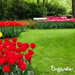 IJzersulfaat Meststof – Mos Verwijderaar – 5kg -Voor 250m2 (organifer) -Gardena Winkel 1200x1200 1238