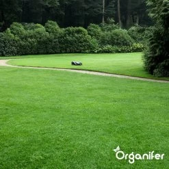 IJzersulfaat Meststof – Mos Verwijderaar – 5kg -Voor 250m2 (organifer) -Gardena Winkel 1200x1200 1239