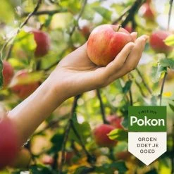 Pokon Bio Fruitbomen Mest - 1kg - Meststof (biologisch) - 120 Dagen Voeding -Gardena Winkel 1200x1200 1242