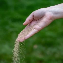 ECOstyle AZ Kalk Micro Korrel – Voor Gazon, Sier- En Moestuin - Corrigeert Zuurgraad Direct En Langdurig - Werkt Tegen Mos - CO2-Neutraal – 70 M² - 5 KG 14 ECOstyle AZ Kalk Micro Korrel – Voor Gazon, Sier- En Moestuin - Corrigeert Zuurgraad Direct En Langdurig - Werkt Tegen Mos - CO2-Neutraal – 70 M² - 5 KG -Gardena Winkel 1200x1200 1248