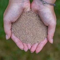 ECOstyle AZ Kalk Micro Korrel – Voor Gazon, Sier- En Moestuin - Corrigeert Zuurgraad Direct En Langdurig - Werkt Tegen Mos - CO2-Neutraal – 70 M² - 5 KG 15 ECOstyle AZ Kalk Micro Korrel – Voor Gazon, Sier- En Moestuin - Corrigeert Zuurgraad Direct En Langdurig - Werkt Tegen Mos - CO2-Neutraal – 70 M² - 5 KG -Gardena Winkel 1200x1200 1249