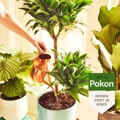 Pokon Kamerplanten Voeding - 500ml - Plantenvoeding - 20ml Per 1L Water -Gardena Winkel 1200x1200 1257