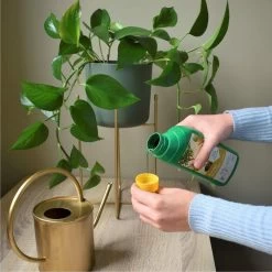 Pokon Kamerplanten Voeding - 500ml - Plantenvoeding - 20ml Per 1L Water -Gardena Winkel 1200x1200 1259