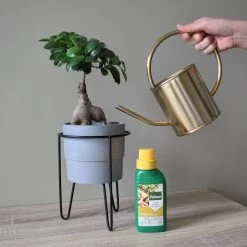 Pokon Bonsai Voeding - 250ml - Plantenvoeding - 10ml Per 1L Water -Gardena Winkel 1200x1200 1264