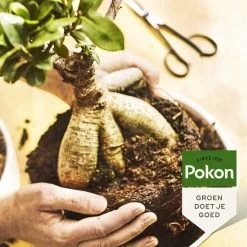 Pokon Bonsai Voeding - 250ml - Plantenvoeding - 10ml Per 1L Water -Gardena Winkel 1200x1200 1265