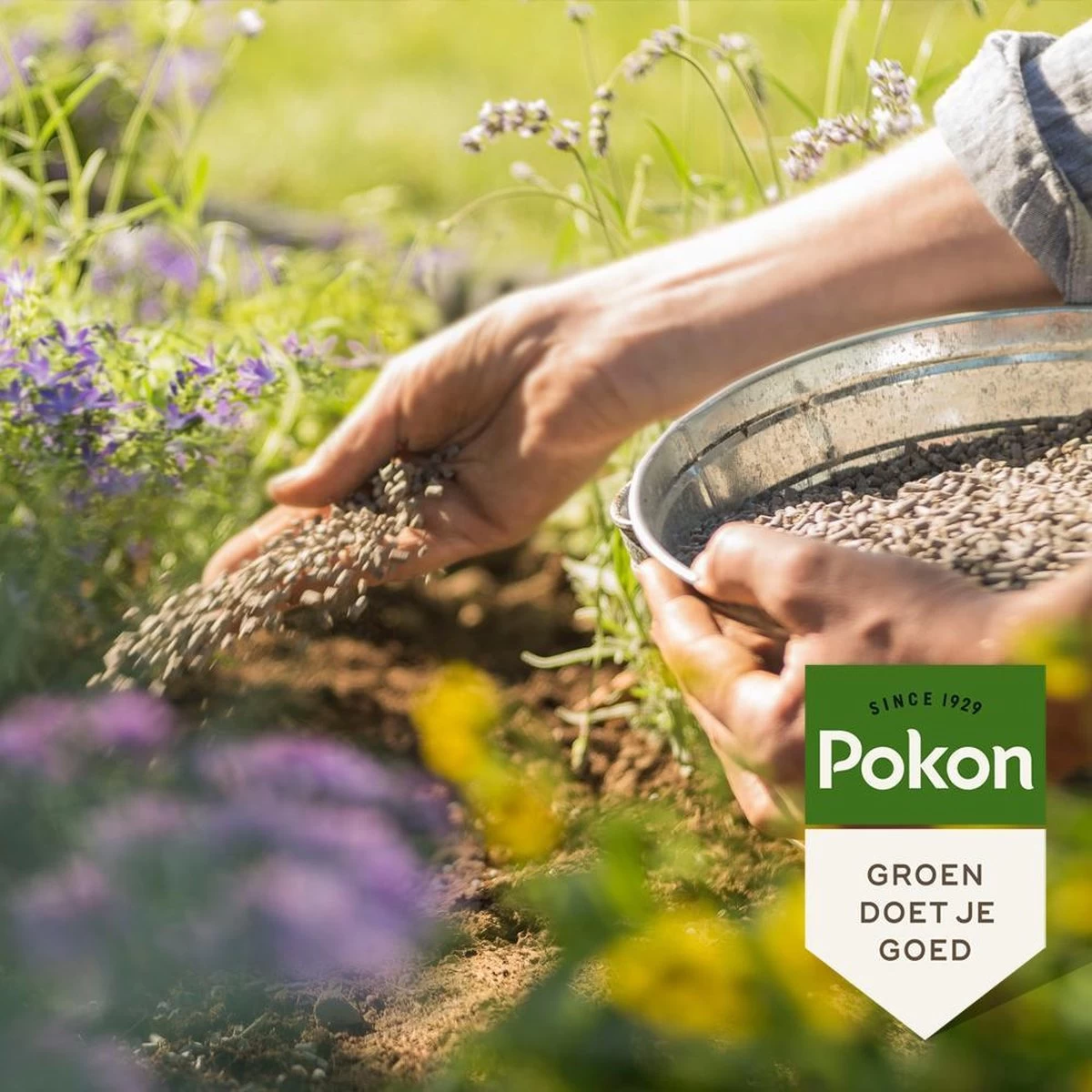 Pokon Bio Tuinmest - 5kg - Meststof (universeel) - 120 Dagen Voeding 3 Pokon Bio Tuinmest - 5kg - Meststof (universeel) - 120 Dagen Voeding - Afbeelding 3