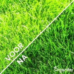 Gazonmest All-In-One (20Kg - Voor 400m2) Voor Een Diepgroen Sterk Gazon Zonder Mos En Onkruid - Complete Meststof Met Kalk En Grasversterker - Organifer 17 Gazonmest All-In-One (20Kg - Voor 400m2) Voor Een Diepgroen Sterk Gazon Zonder Mos En Onkruid - Complete Meststof Met Kalk En Grasversterker - Organifer -Gardena Winkel 1200x1200 1268