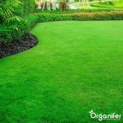 Gazonmest All-In-One (20Kg - Voor 400m2) Voor Een Diepgroen Sterk Gazon Zonder Mos En Onkruid - Complete Meststof Met Kalk En Grasversterker - Organifer 18 Gazonmest All-In-One (20Kg - Voor 400m2) Voor Een Diepgroen Sterk Gazon Zonder Mos En Onkruid - Complete Meststof Met Kalk En Grasversterker - Organifer -Gardena Winkel 1200x1200 1269