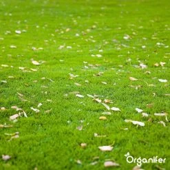 Gazonmest All-In-One (20Kg - Voor 400m2) Voor Een Diepgroen Sterk Gazon Zonder Mos En Onkruid - Complete Meststof Met Kalk En Grasversterker - Organifer 20 Gazonmest All-In-One (20Kg - Voor 400m2) Voor Een Diepgroen Sterk Gazon Zonder Mos En Onkruid - Complete Meststof Met Kalk En Grasversterker - Organifer -Gardena Winkel 1200x1200 1271