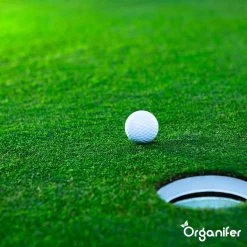 Gazonmest All-In-One (20Kg - Voor 400m2) Voor Een Diepgroen Sterk Gazon Zonder Mos En Onkruid - Complete Meststof Met Kalk En Grasversterker - Organifer 25 Gazonmest All-In-One (20Kg - Voor 400m2) Voor Een Diepgroen Sterk Gazon Zonder Mos En Onkruid - Complete Meststof Met Kalk En Grasversterker - Organifer -Gardena Winkel 1200x1200 1276