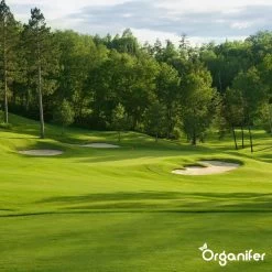 Gazonmest All-In-One (20Kg - Voor 400m2) Voor Een Diepgroen Sterk Gazon Zonder Mos En Onkruid - Complete Meststof Met Kalk En Grasversterker - Organifer 26 Gazonmest All-In-One (20Kg - Voor 400m2) Voor Een Diepgroen Sterk Gazon Zonder Mos En Onkruid - Complete Meststof Met Kalk En Grasversterker - Organifer -Gardena Winkel 1200x1200 1277