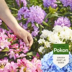 Pokon Rhododendron, Hortensia & Azalea Mest - 1kg - Meststof - 3-in-1 Werking 9 Pokon Rhododendron, Hortensia & Azalea Mest - 1kg - Meststof - 3-in-1 Werking -Gardena Winkel 1200x1200 1281