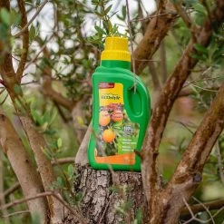 ECOstyle Citrus & Olijf Voeding - Stevige Vrucht - Langdurige Werking - Voor Alle Mediterrane Planten En Bomen 500 ML -Gardena Winkel 1200x1200 1283