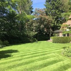 Gazonmest Met Ijzersulfaat Voor 100m²Gras | Gazon Meststof Met Ijzer | Mos Bestrijding & Gras Bemesting In Één | Ideaal Voor Meststofstrooier | Gazonbemesting -Gardena Winkel 1200x1200 1289