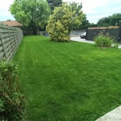 Gazonmest Met Ijzersulfaat Voor 100m²Gras | Gazon Meststof Met Ijzer | Mos Bestrijding & Gras Bemesting In Één | Ideaal Voor Meststofstrooier | Gazonbemesting -Gardena Winkel 1200x1200 1290