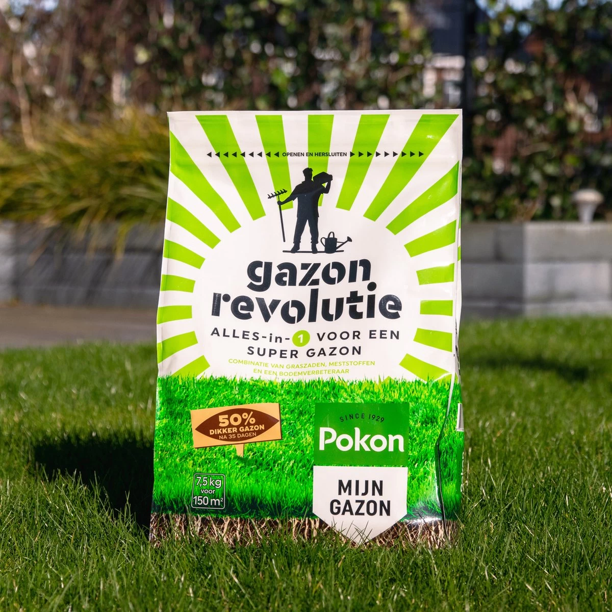 Pokon Gazon Revolutie - 7,5kg - Gazonmest / Graszaad / Bodemverbeteraar - Geschikt Voor 150m² - Binnen 15 Dagen Resultaat 3 Pokon Gazon Revolutie - 7,5kg - Gazonmest / Graszaad / Bodemverbeteraar - Geschikt Voor 150m² - Binnen 15 Dagen Resultaat - Afbeelding 3