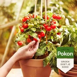 Pokon Bio Moestuin Mest - 1kg - Meststof (biologisch) - 120 Dagen Moestuinvoeding -Gardena Winkel 1200x1200 1300