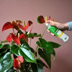 Pokon Bladglans 600ml -Gardena Winkel 1200x1200 1302