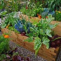 Mycorrhiza Mix Moestuin 200Gr - FungiLife Endomycorrhiza 3 Mycorrhiza Mix Moestuin 200Gr - FungiLife Endomycorrhiza -Gardena Winkel 1200x1200 1307