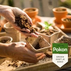 Pokon Stekpoeder - 25gr - Stimuleert Wortelvorming -Gardena Winkel 1200x1200 1309