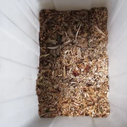 Gardebruk Hakselaar Elektrisch 2800W - 45mm Takdikte - Opvangbak 60 L 17 Gardebruk Hakselaar Elektrisch 2800W - 45mm Takdikte - Opvangbak 60 L -Gardena Winkel 1200x1200 1464