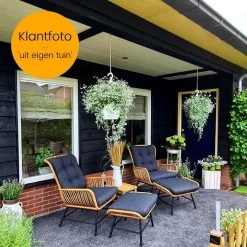 BUITEN Living Dex Wicker Loungestoel Tuin Incl. Wicker Voetenbank | Wicker + Aluminium | Bamboe Antraciet 21 BUITEN Living Dex Wicker Loungestoel Tuin Incl. Wicker Voetenbank | Wicker + Aluminium | Bamboe Antraciet -Gardena Winkel 1200x1200 2