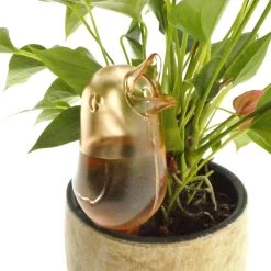 JS Drippy - Waterdruppelaars Set Van 2 Stuks - Druppelaar Vogel - Druppelsysteem Planten - Watergeefsysteem Kamerplanten - Waterbol - Roze 7 JS Drippy - Waterdruppelaars Set Van 2 Stuks - Druppelaar Vogel - Druppelsysteem Planten - Watergeefsysteem Kamerplanten - Waterbol - Roze -Gardena Winkel 1200x1200 808