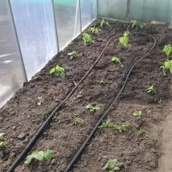 Druppelslang Actiepakket 100 Meter - Leidingshop -Gardena Winkel 1200x1200 847