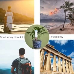 BOTC Waterdruppelaar Set Van 6 Stuks Voor Planten - Watergeefsysteem -Gardena Winkel 1200x1200 933